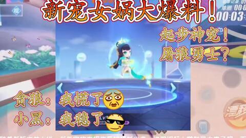 女娲宠物爆料视频大全最新,揭秘神秘宠物背后的故事 第1张 女娲宠物爆料视频大全最新,揭秘神秘宠物背后的故事 第1张